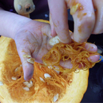 Investigating the inside of a pumpkin