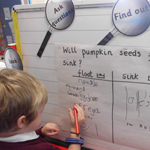 Do Pumpkin seeds float or sink?