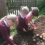 Our Planting Day in Class 1!