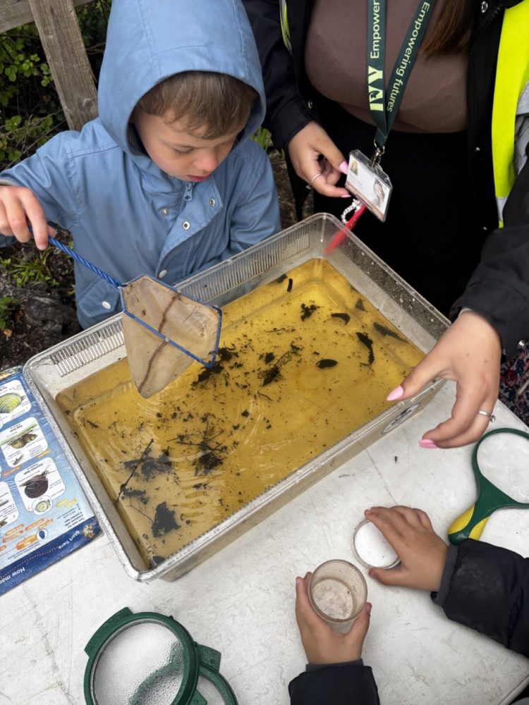 🌿🦋 Classes 1 and 2 Visit Dawlish Warren Nature Reserve 🦋🌿